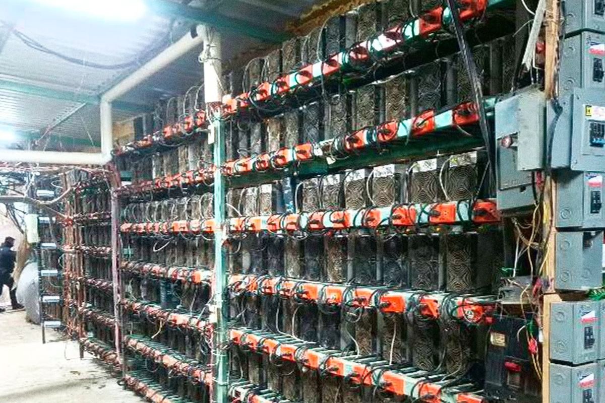 Desmantelan granja de criptomonedas en Tlaola