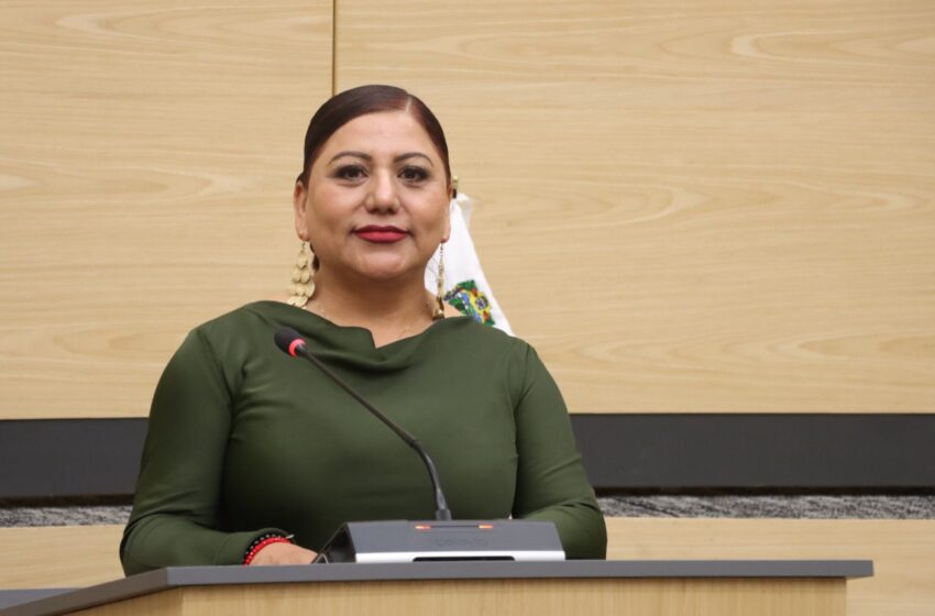  Implementar mecanismos de vinculación laboral para pueblos indígenas, propone diputada Araceli Celestino 