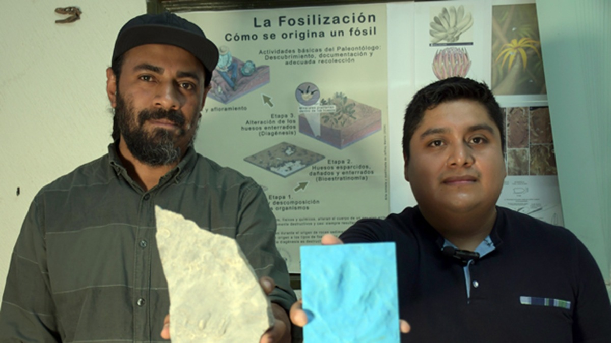 Investigadores BUAP registran nuevas huellas de dinosaurio en Puebla
