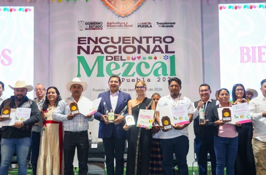  Mezcal poblano es orgullo, identidad y riqueza para sus comunidades: Armenta Mier