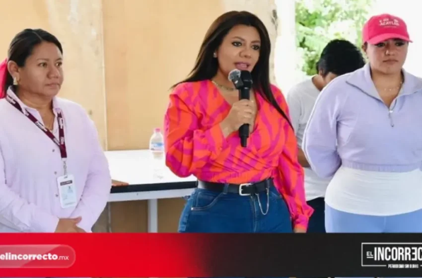  TEEP desecha denuncias de Guadalupe Bárcenas por violencia política de género
