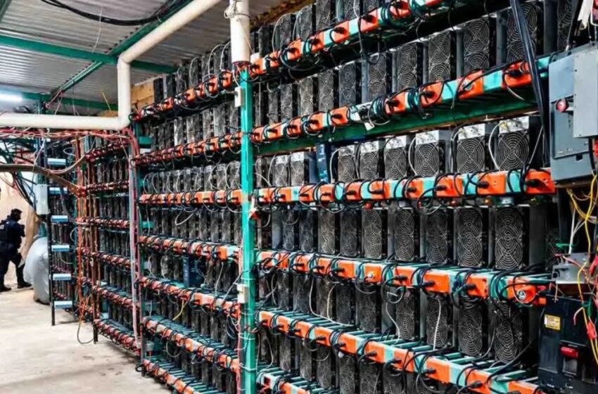 Vinculan a diputado local de Morena con granja de criptomonedas en Tlaola