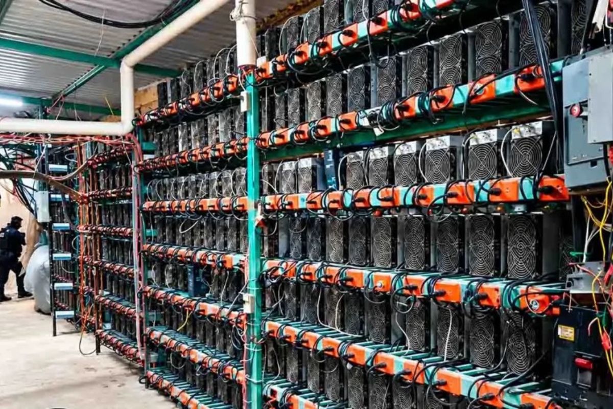 Vinculan a diputado local de Morena con granja de criptomonedas en Tlaola