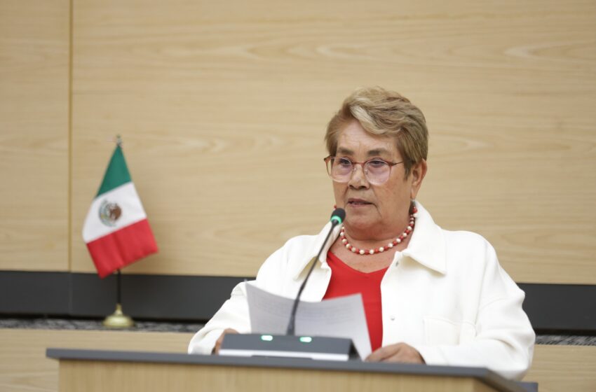  Impulsa diputada Modesta Delgado iniciativa para incorporar el principio de accesibilidad en la Ley de Desarrollo Social 