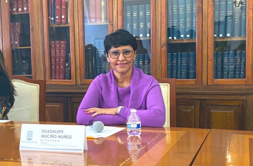  Guadalupe Muciño renuncia al Congreso de Puebla para buscar alcaldía de Atlixco