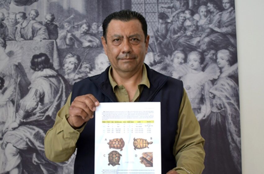  Investigadores BUAP registran nuevos ejemplares de tortuga en el estado de Puebla
