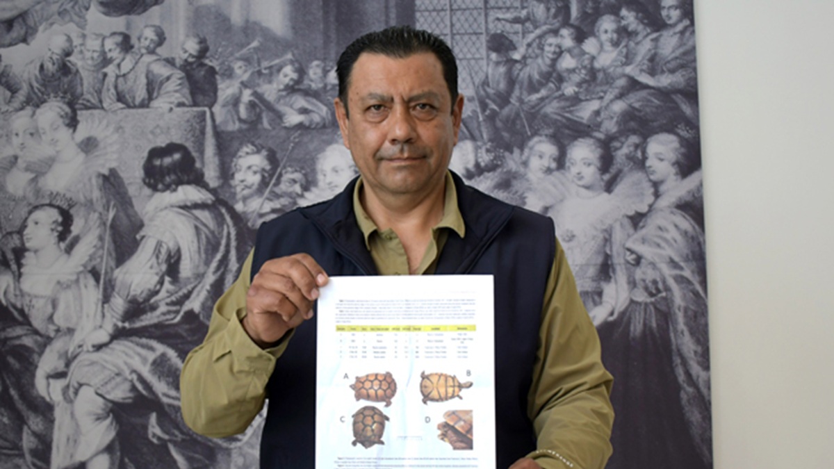 Investigadores BUAP registran nuevos ejemplares de tortuga en el estado de Puebla