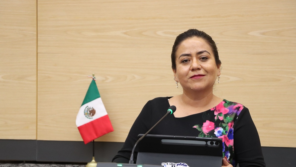 Promueve diputada Celia Bonaga la incorporación de un Programa para el Desarrollo Integral de las Juntas Auxiliares