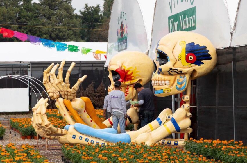  Cempasúchil, cartonería y Mictlán: la otra cara del Día de Muertos en Atlixco