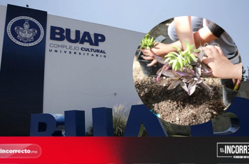  Siete universitarios de la BUAP se capacitan en Japón con apoyo de OISCA