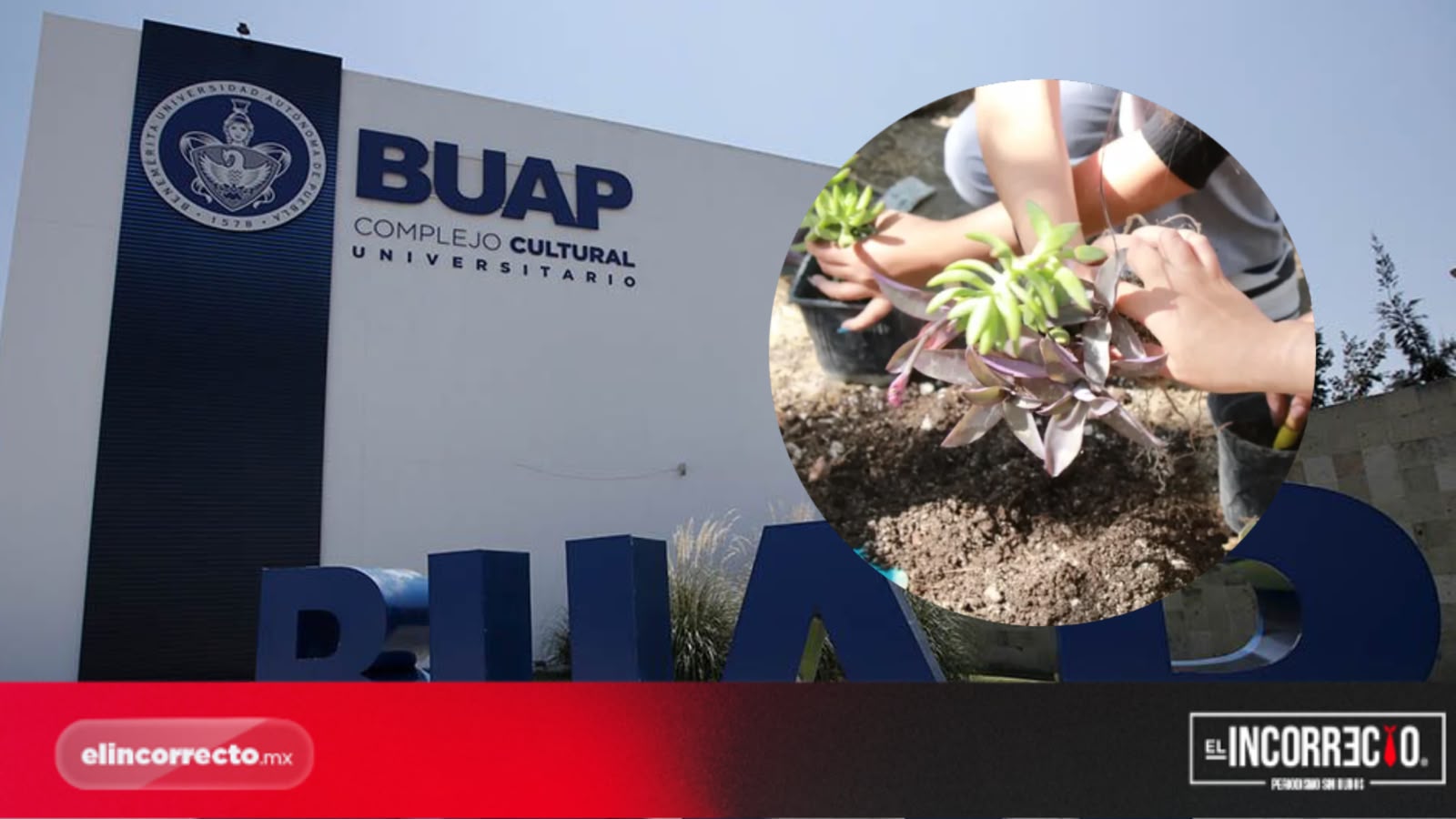 Siete universitarios de la BUAP se capacitan en Japón con apoyo de OISCA
