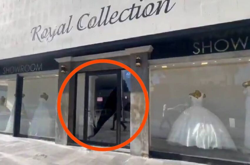 Cristalazo en tienda Royal Collection de la avenida Juárez en Puebla; autoridades investigan